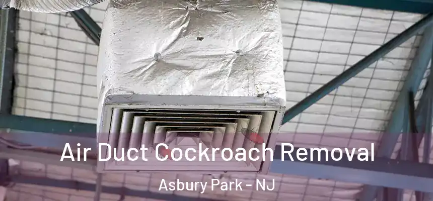  Air Duct Cockroach Removal Asbury Park - NJ