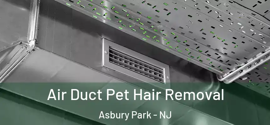  Air Duct Pet Hair Removal Asbury Park - NJ