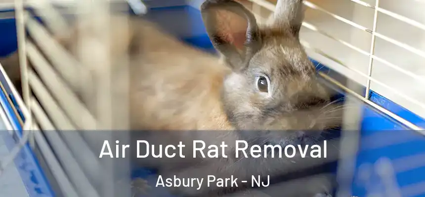 Air Duct Rat Removal Asbury Park - NJ