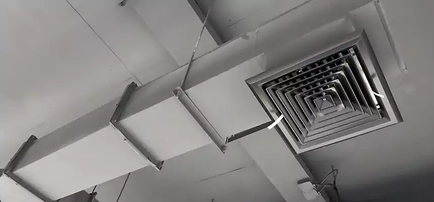 Our Rodent Droppings In Vents Services in Asbury Park, NJ