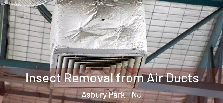 Insect Removal from Air Ducts Asbury Park - NJ