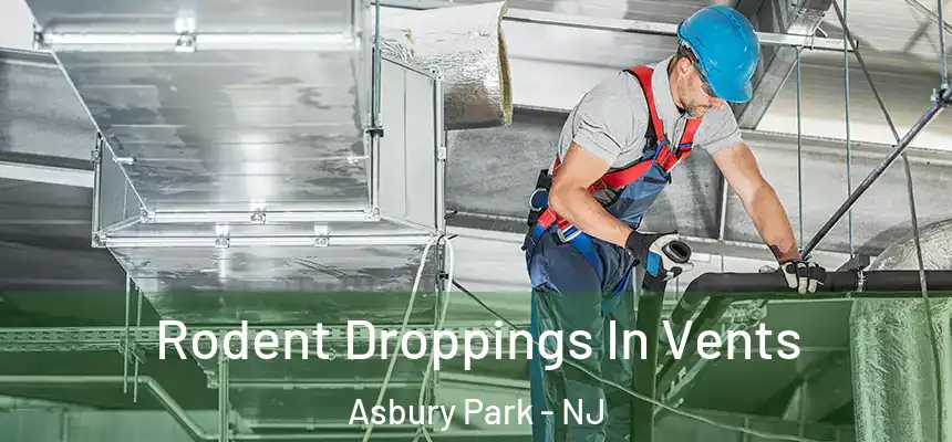  Rodent Droppings In Vents Asbury Park - NJ