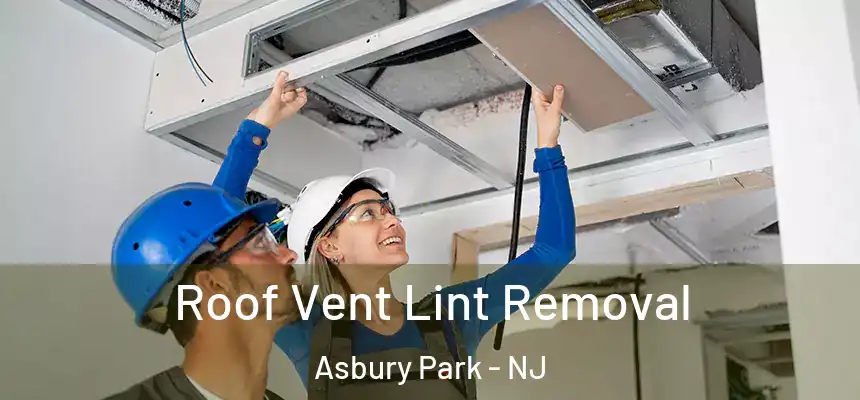  Roof Vent Lint Removal Asbury Park - NJ