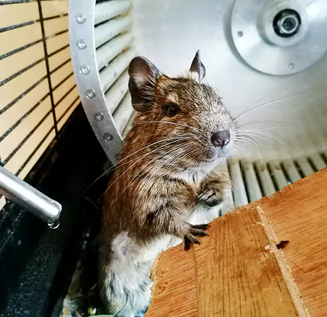 Why Homeowners & Businesses Trust Us Asbury Park, NJ