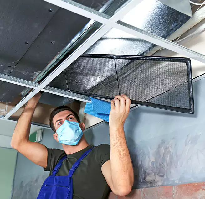 Why Homeowners Businesses Trust Us in Asbury Park, NJ