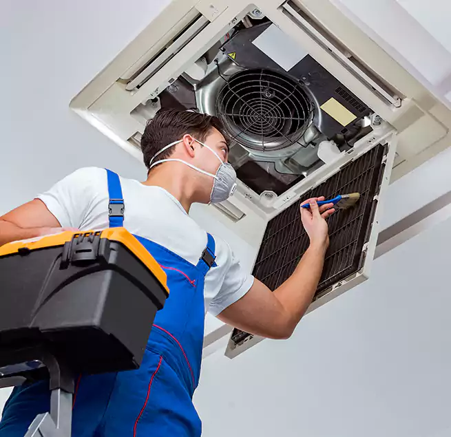 Why Homeowners & Businesses Trust Us in Asbury Park, NJ