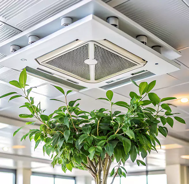 Why Homeowners & Businesses Trust Us in Asbury Park, NJ?