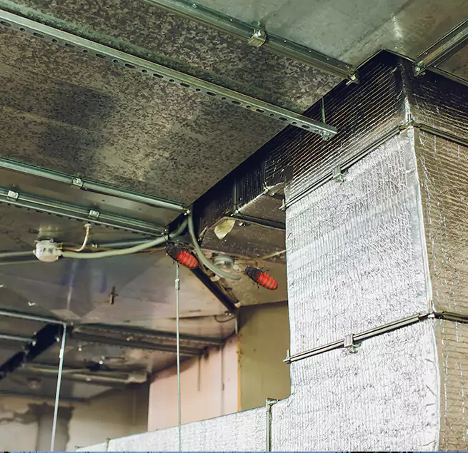 Why Homeowners & Businesses Trust Us Asbury Park, NJ?