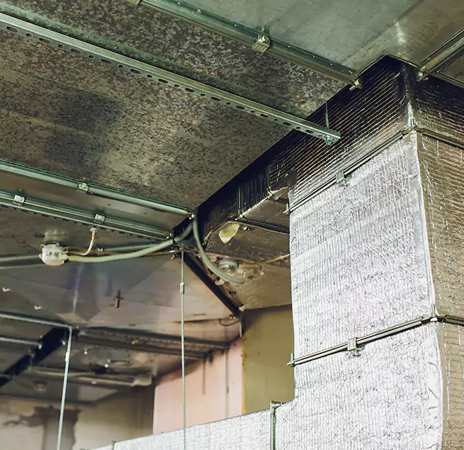 Why Homeowners & Businesses Trust Us in Asbury Park, NJ?